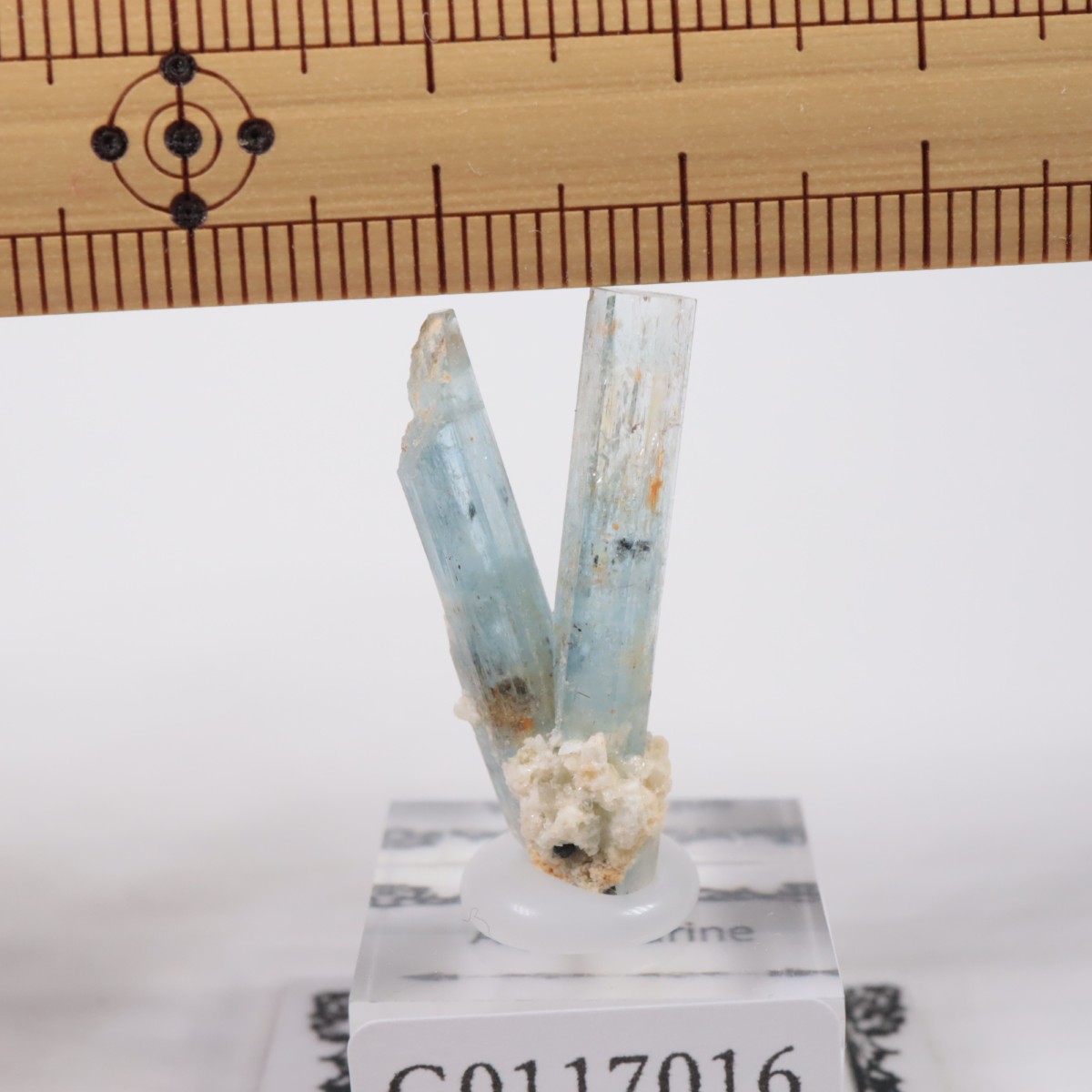 �����󥴹ۻ��� �������ޥ��