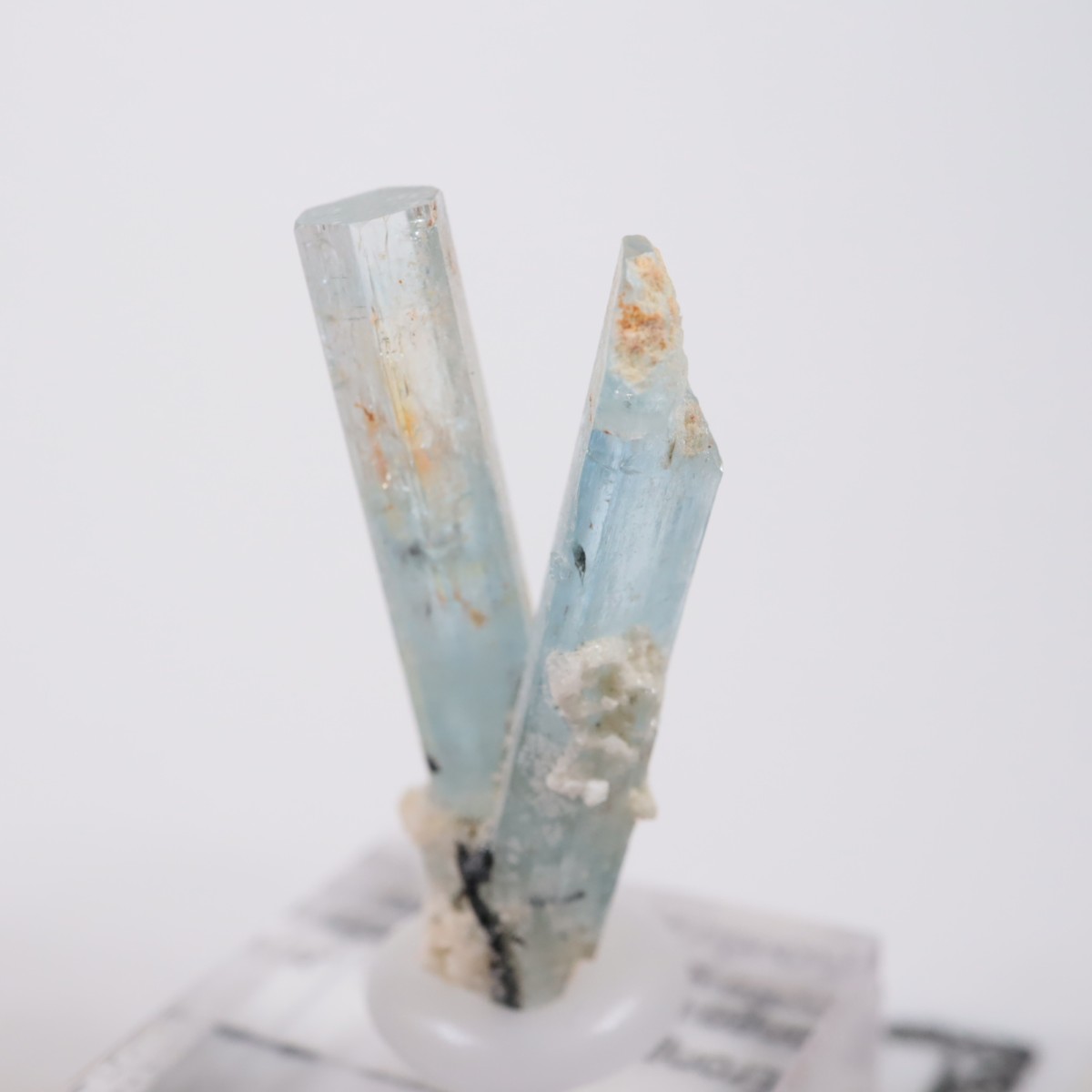 �����󥴹ۻ��� �������ޥ��