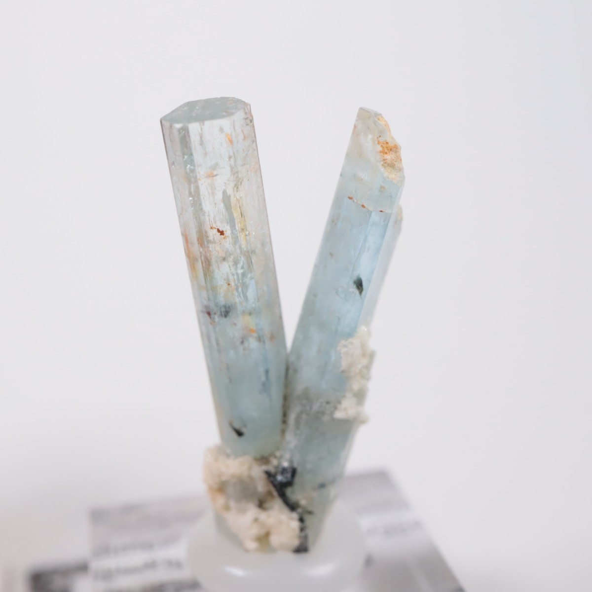 �����󥴹ۻ��� �������ޥ��