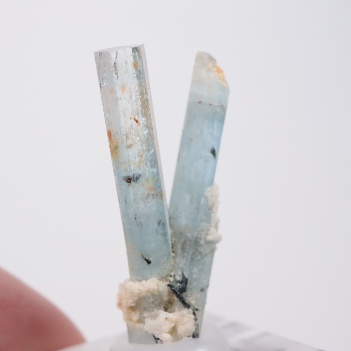 �����󥴹ۻ��� �������ޥ��