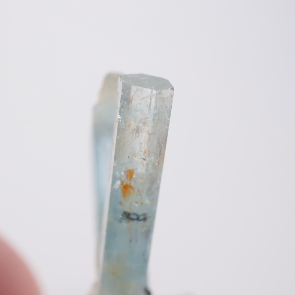 �����󥴹ۻ��� �������ޥ��