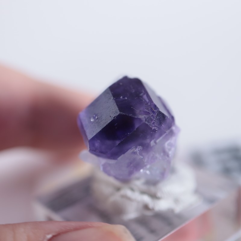 Xia Yang Mine フローライト（蛍石） | 鉱物標本,ハ行,フローライト/蛍