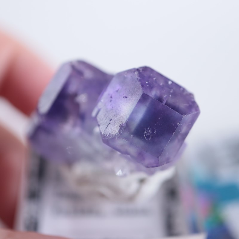 蛍石　福建省Xia Yang Mine Xia Yang Mine フローライト（蛍石） | 鉱物標本,ハ行,フローライト/蛍