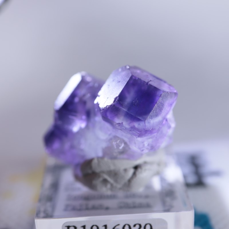 蛍石　福建省Xia Yang Mine Xia Yang Mine フローライト（蛍石） | 鉱物標本,ハ行,フローライト/蛍