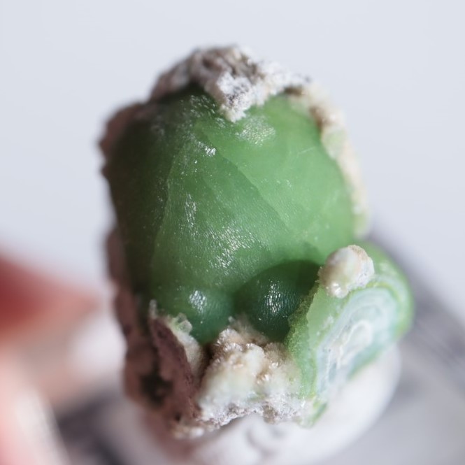 ����ꥫ����������