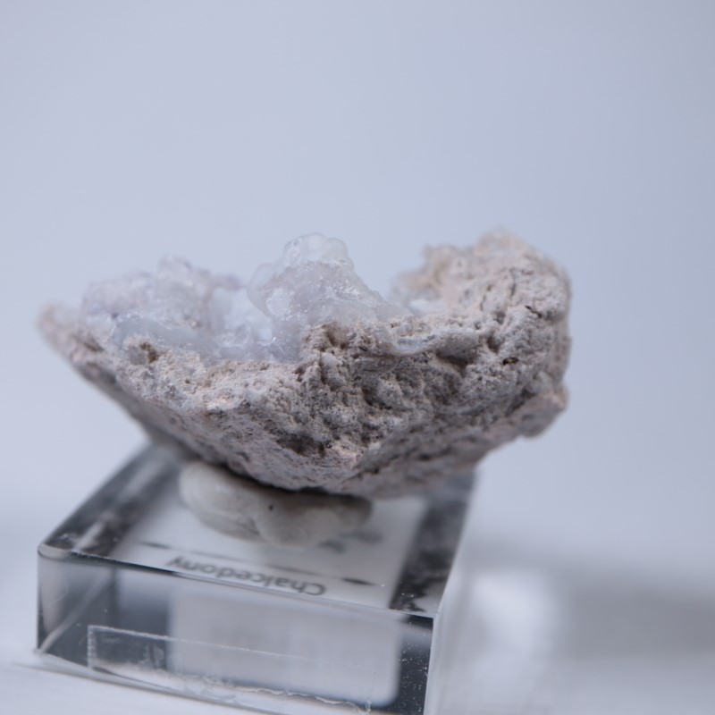 �ᥭ�����������С����륻�ɥˡ�