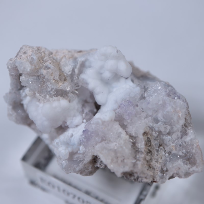 �ᥭ�����������С����륻�ɥˡ�