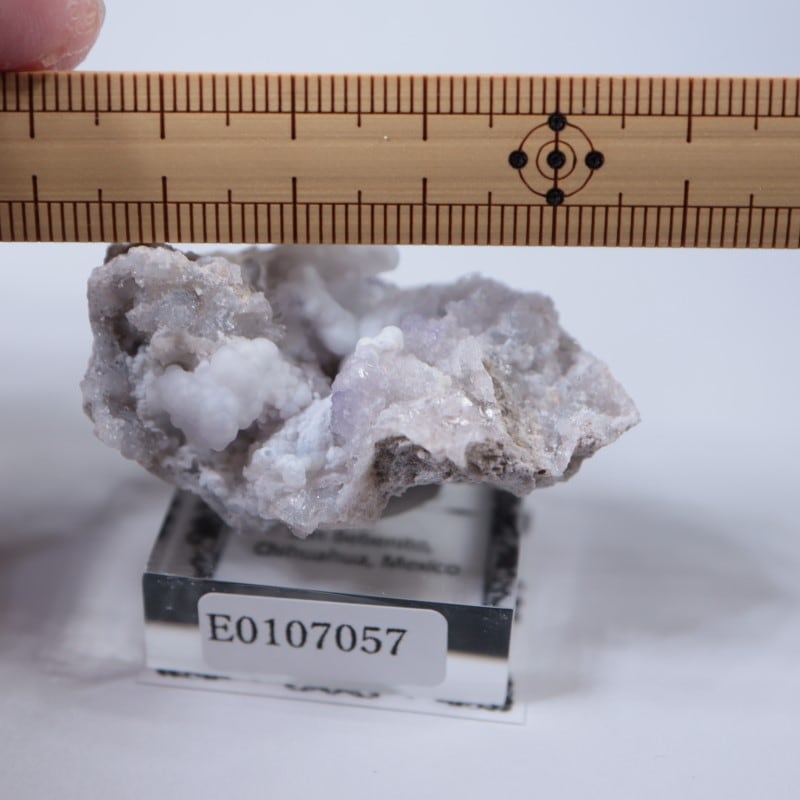 �ᥭ�����������С����륻�ɥˡ�