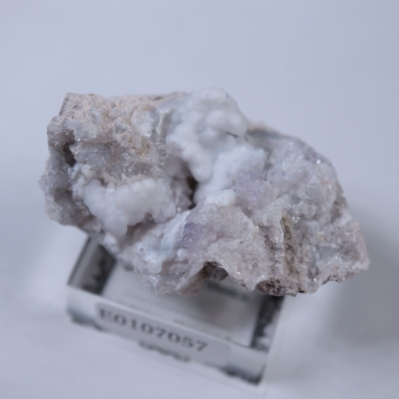 �ᥭ�����������С����륻�ɥˡ�