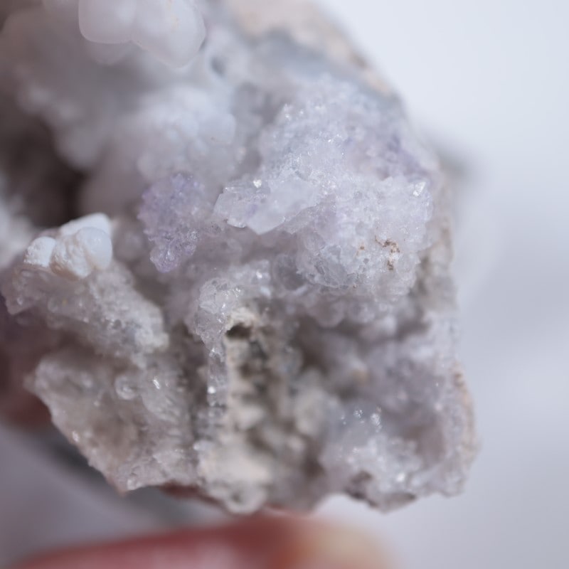 �ᥭ�����������С����륻�ɥˡ�