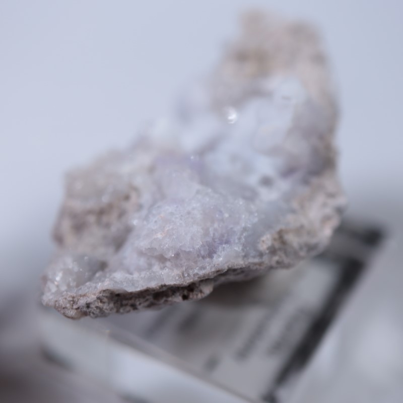 �ᥭ�����������С����륻�ɥˡ�