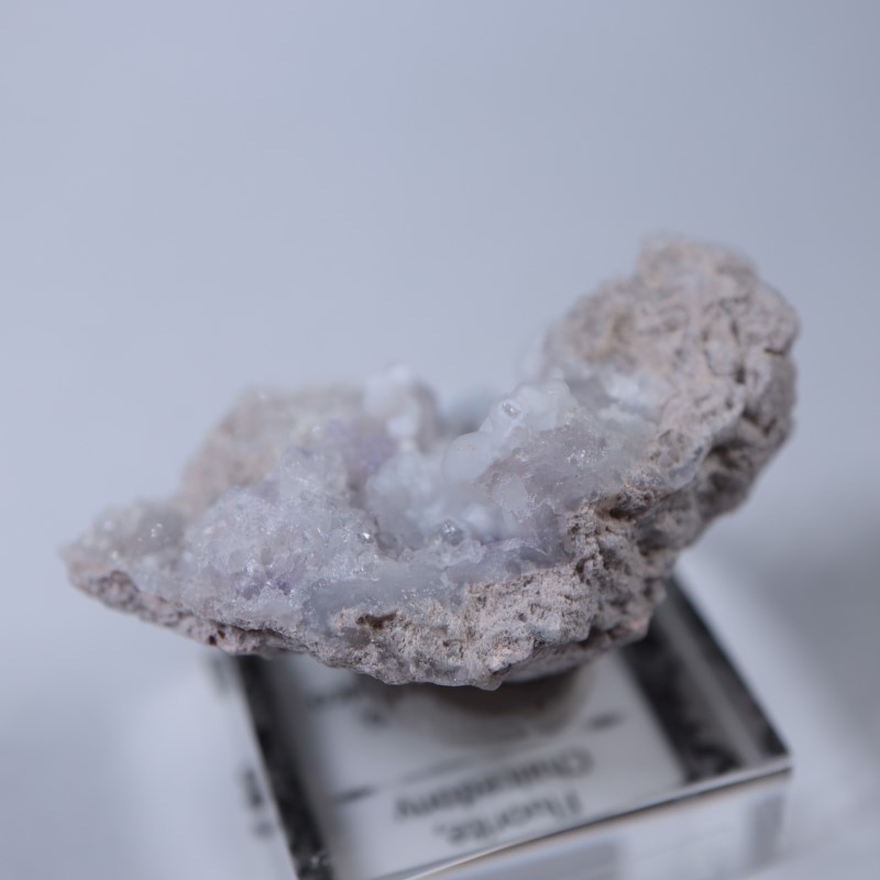 �ᥭ�����������С����륻�ɥˡ�