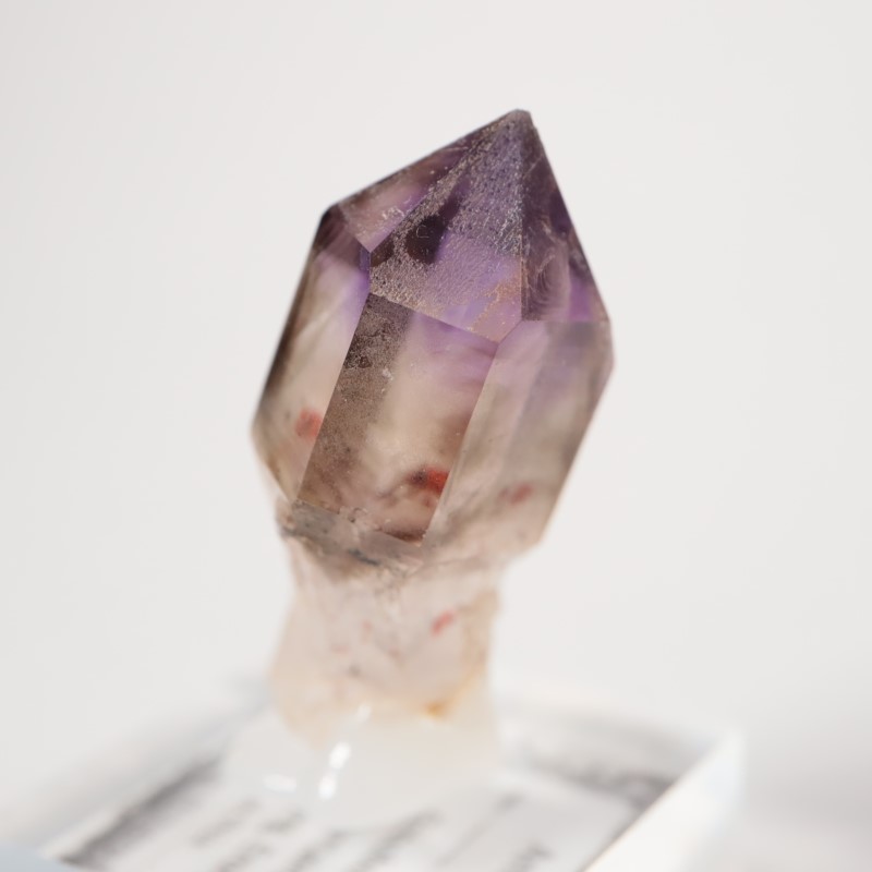 �֥��ɥС����������᥷����