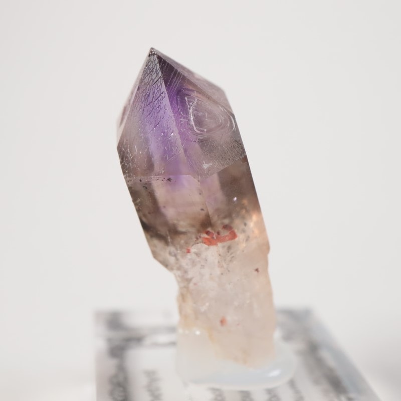 �֥��ɥС����������᥷����