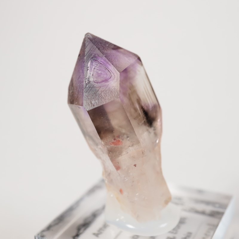 �֥��ɥС����������᥷����