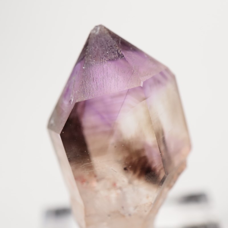 �֥��ɥС����������᥷����