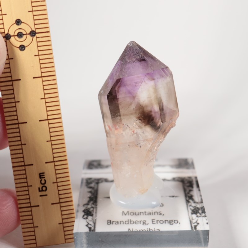 �֥��ɥС����������᥷����