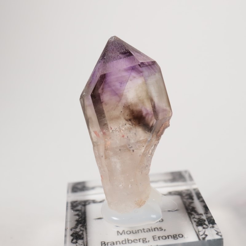 �֥��ɥС����������᥷����