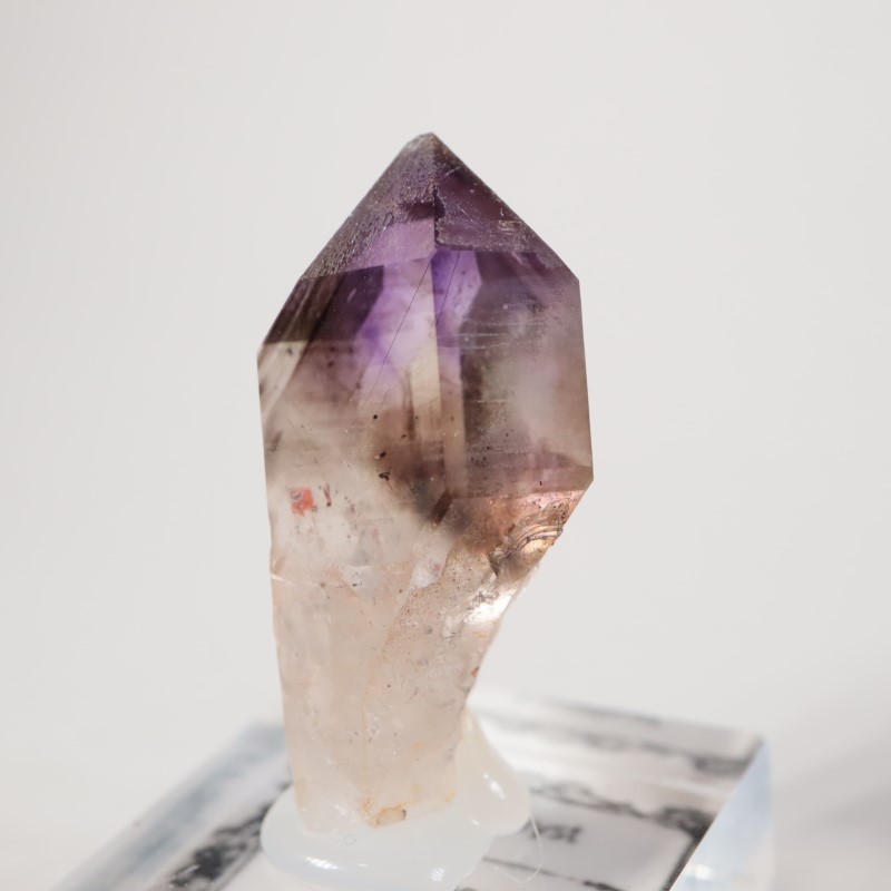 �֥��ɥС����������᥷����