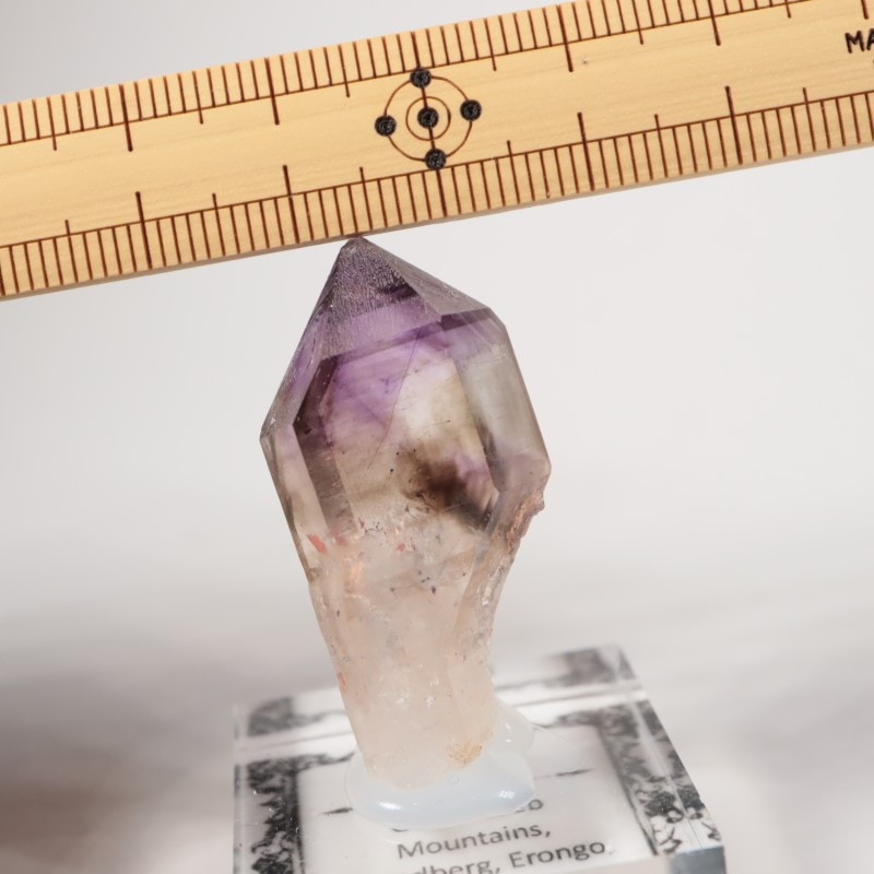 �֥��ɥС����������᥷����