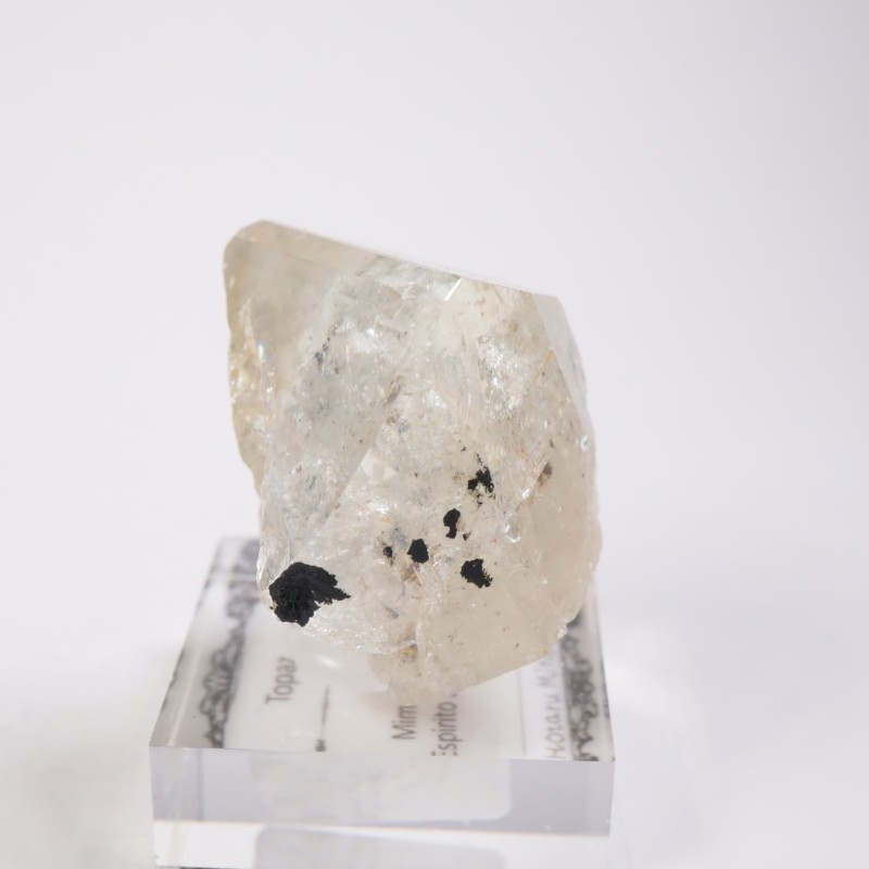 Mimoso do Sul�� �ȥѡ���