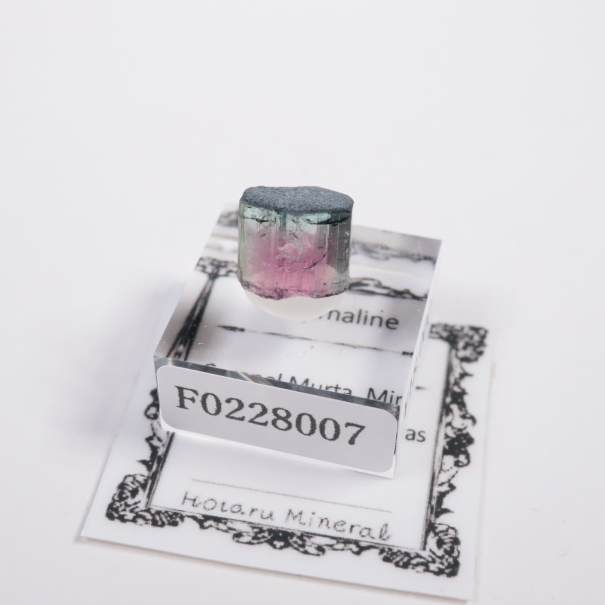 Coronel Murta�� �ȥ�ޥ��