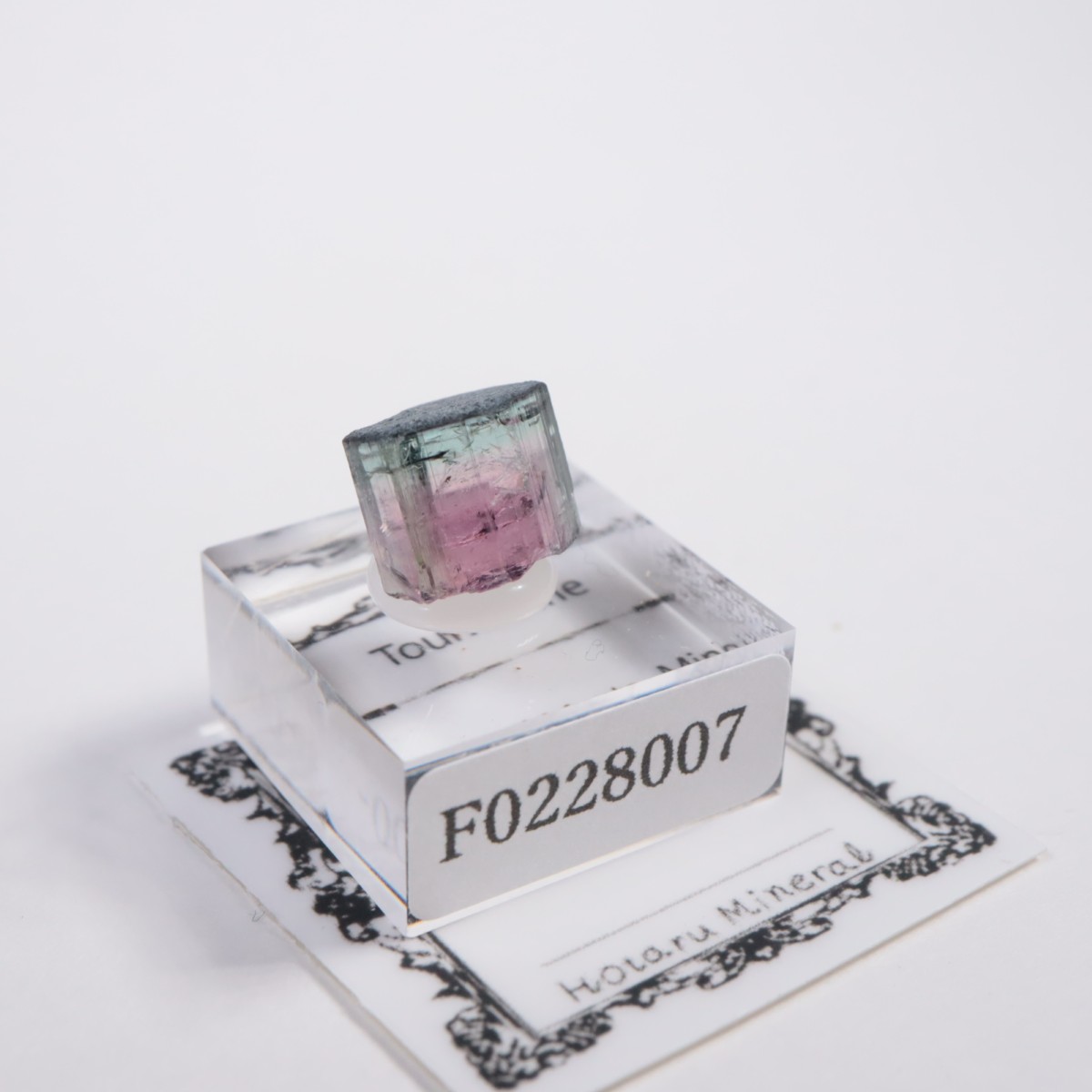 Coronel Murta�� �ȥ�ޥ��