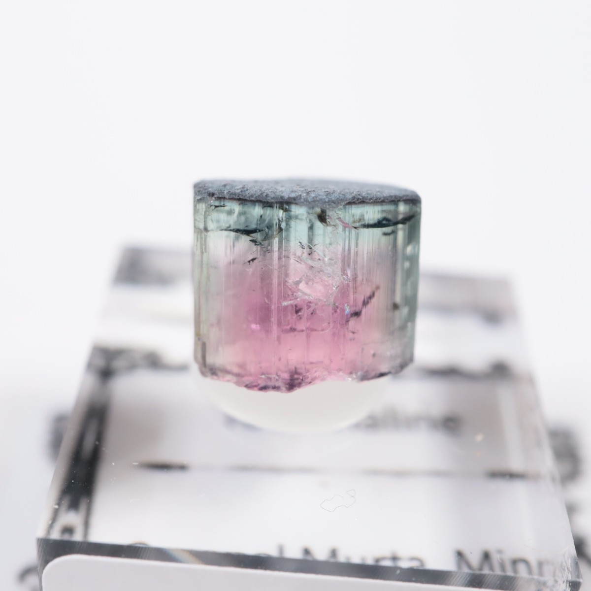 Coronel Murta�� �ȥ�ޥ��