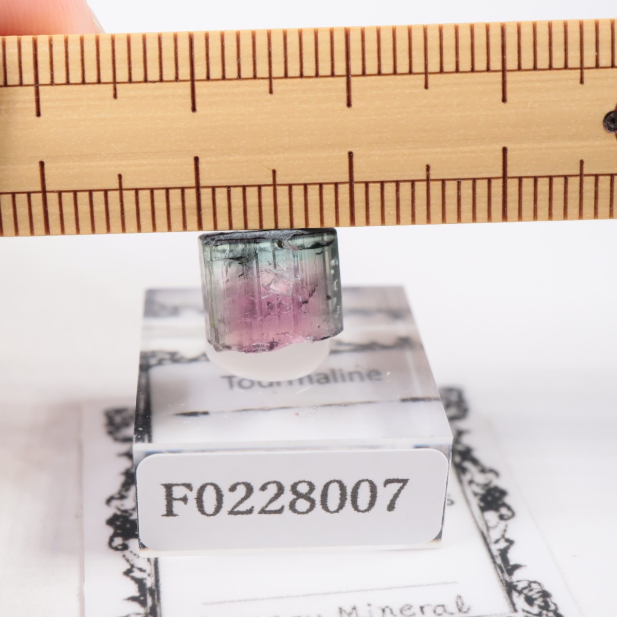 Coronel Murta�� �ȥ�ޥ��