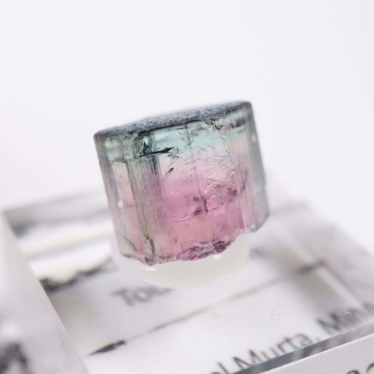 Coronel Murta�� �ȥ�ޥ��