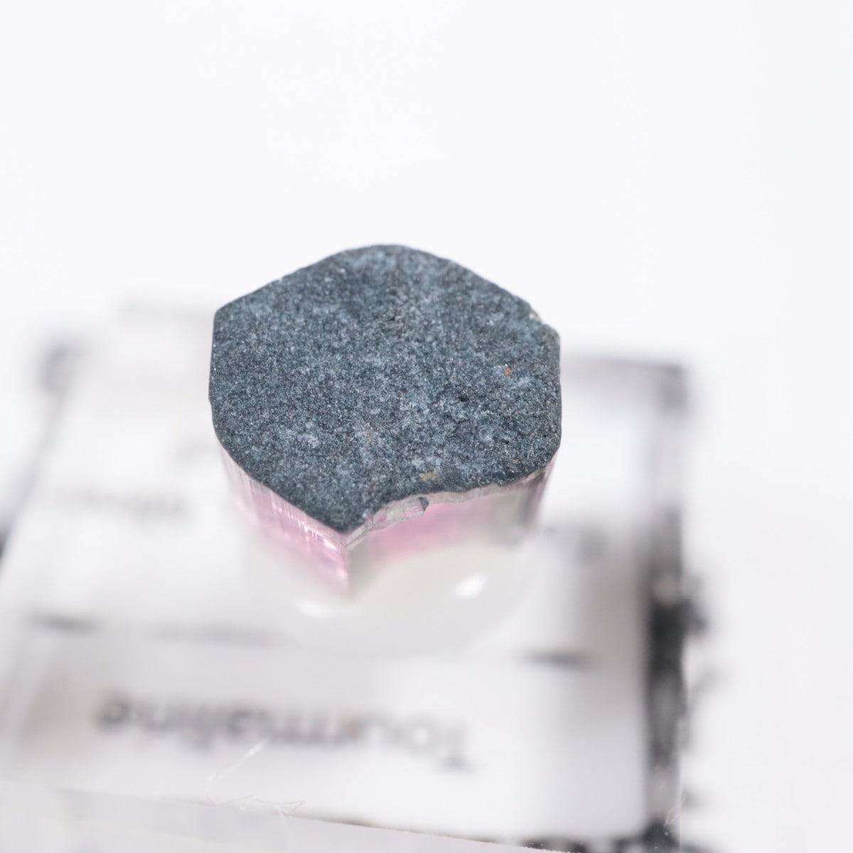 Coronel Murta�� �ȥ�ޥ��