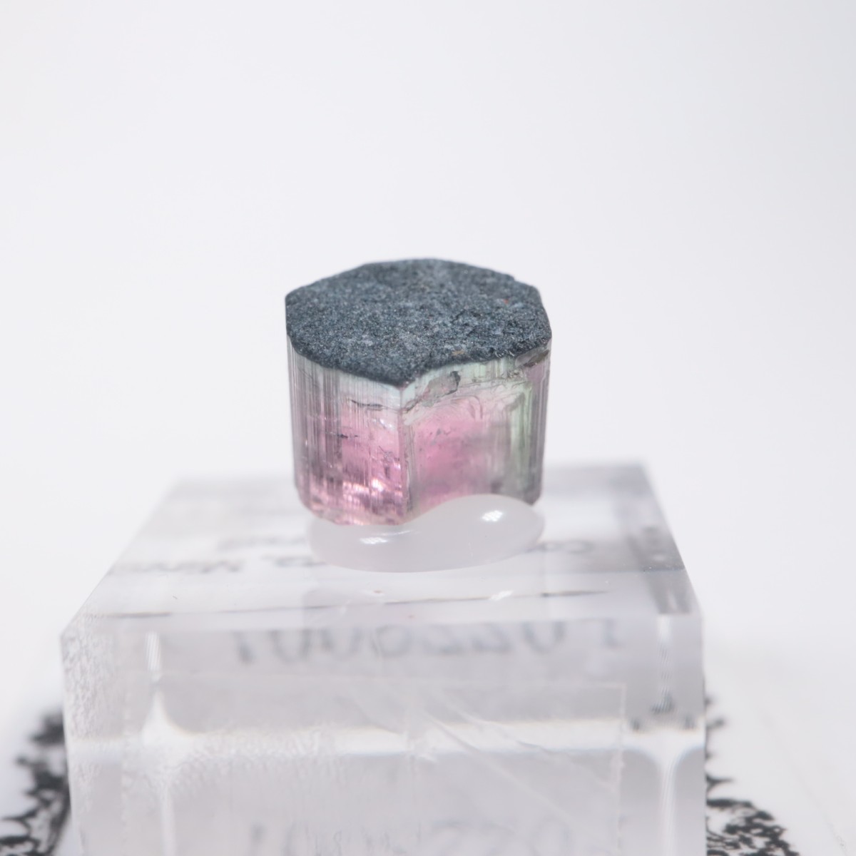 Coronel Murta�� �ȥ�ޥ��