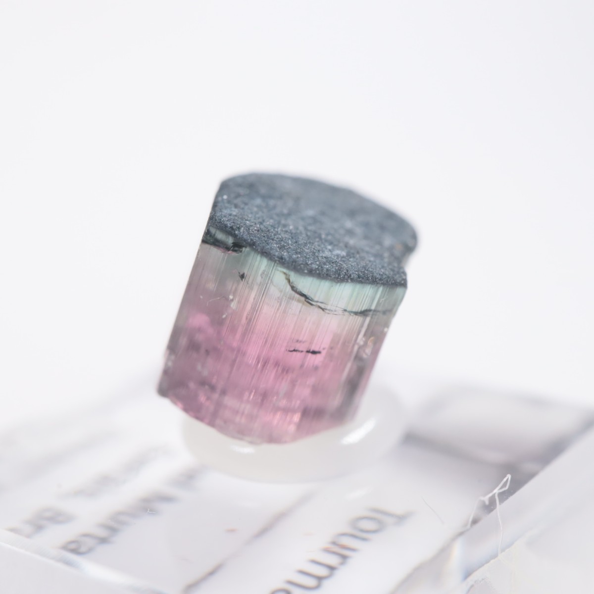 Coronel Murta�� �ȥ�ޥ��