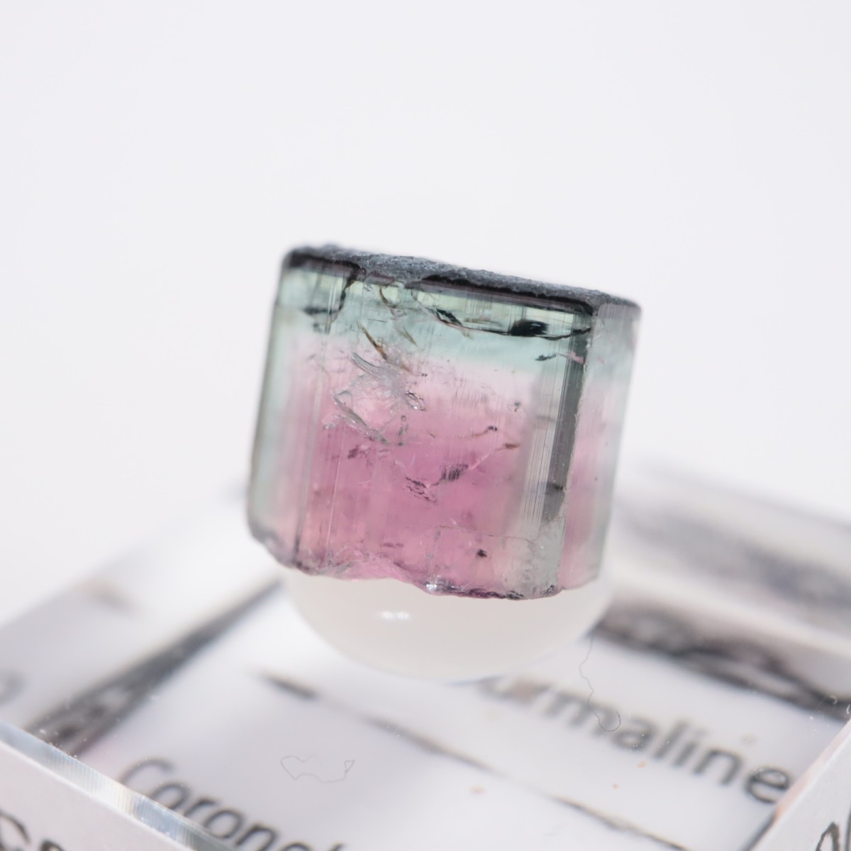 Coronel Murta�� �ȥ�ޥ��