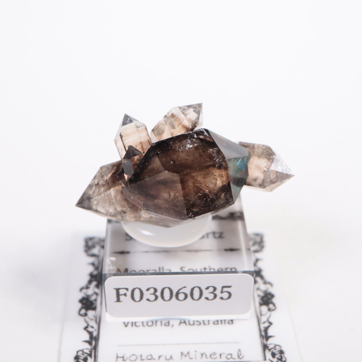 �������ȥ�ꥢ�� ����徽