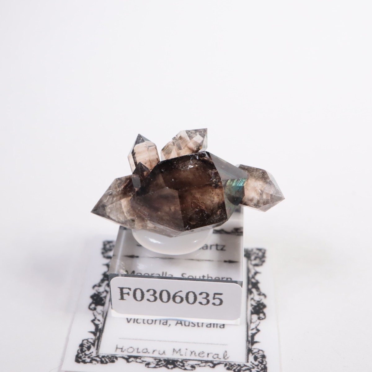 �������ȥ�ꥢ�� ����徽