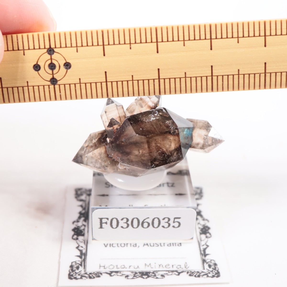 �������ȥ�ꥢ�� ����徽