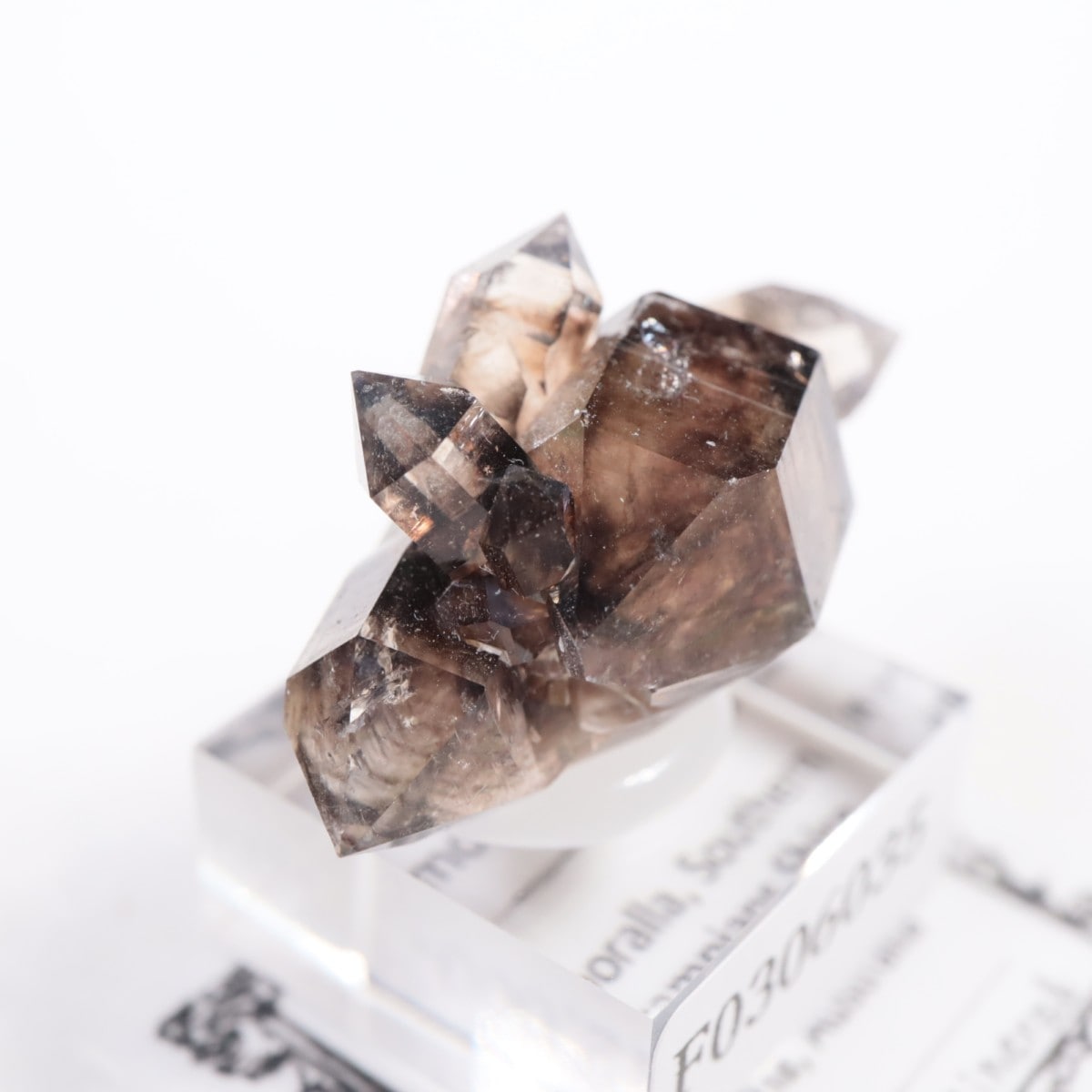 �������ȥ�ꥢ�� ����徽