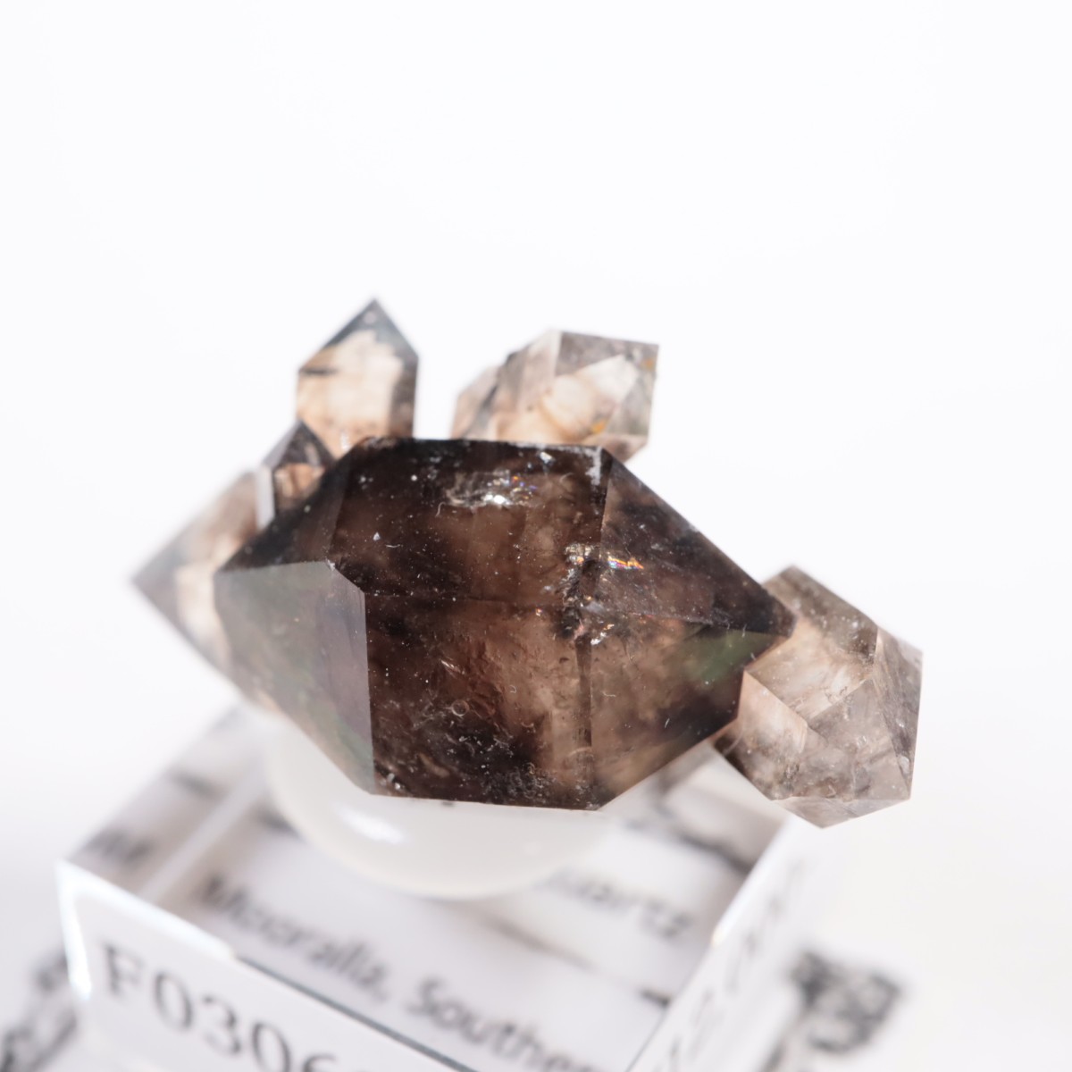 �������ȥ�ꥢ�� ����徽