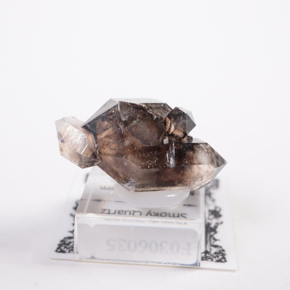 �������ȥ�ꥢ�� ����徽