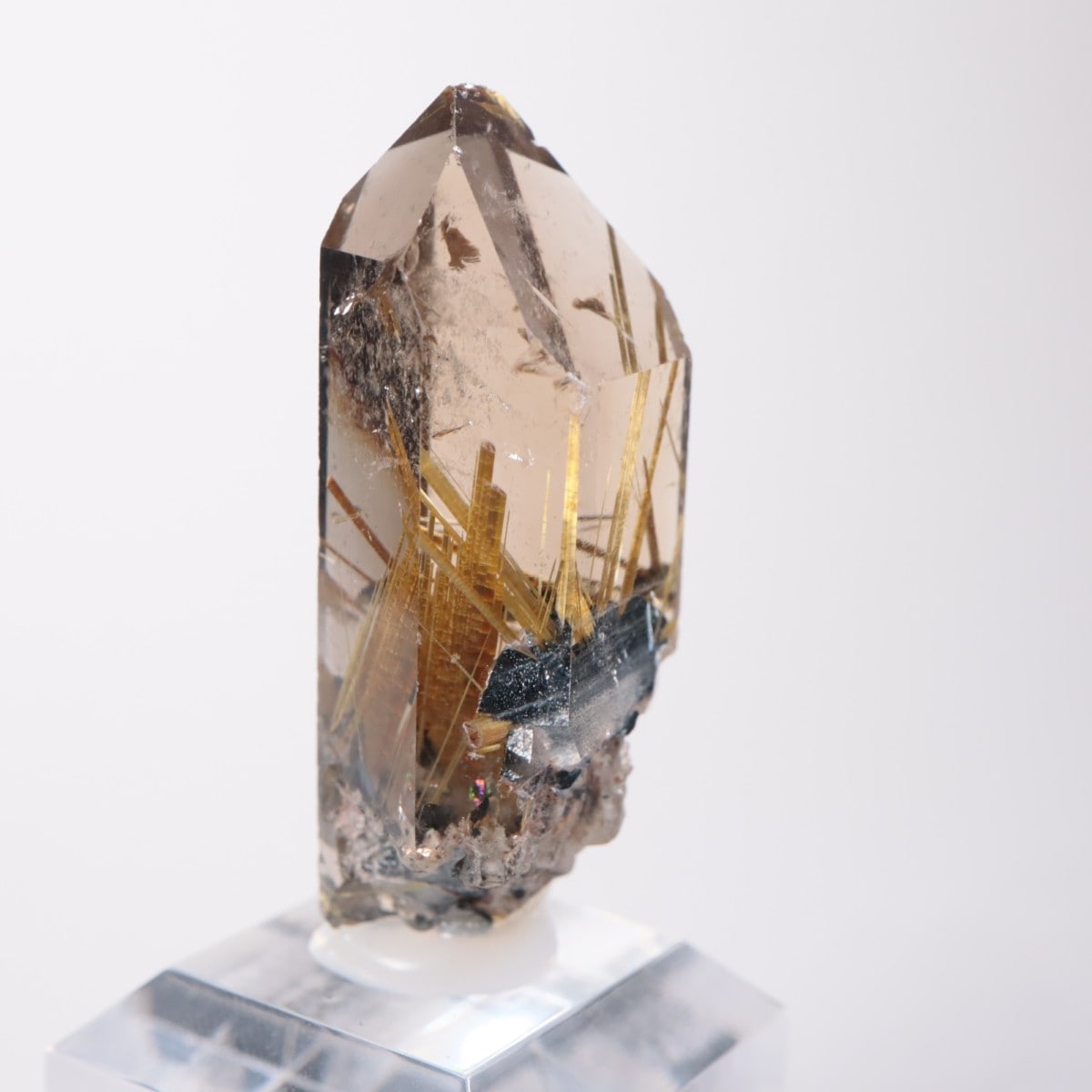 ブラジル産 ルチルクォーツ | 鉱物標本,カ行,クォーツ/水晶 | ほたるみ