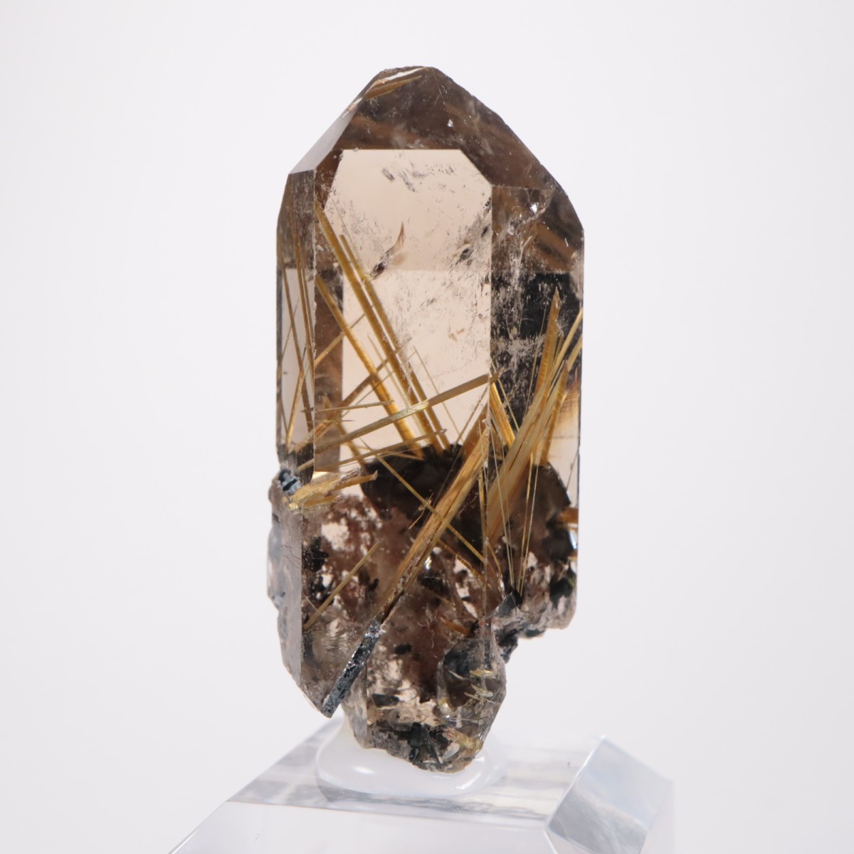 ブラジル産 ルチルクォーツ | 鉱物標本,カ行,クォーツ/水晶 | ほたるみ