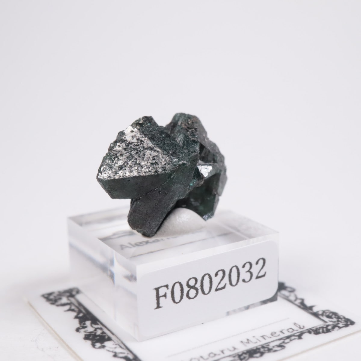 ����Х֥��� ���쥭����ɥ饤��