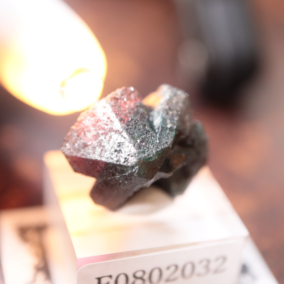 ����Х֥��� ���쥭����ɥ饤��