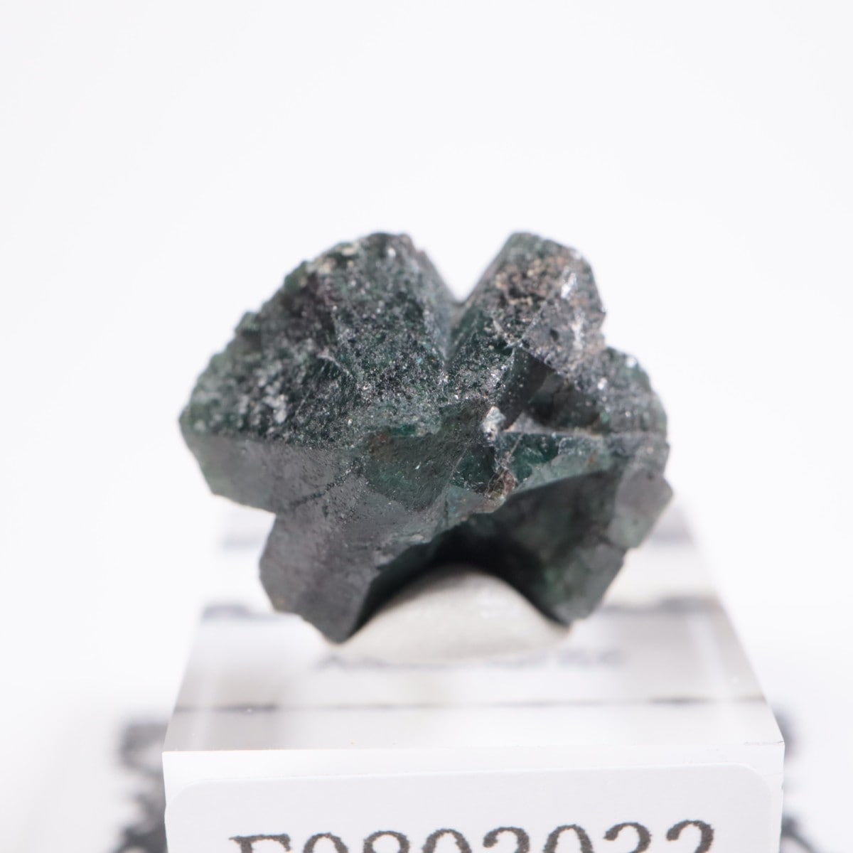 ����Х֥��� ���쥭����ɥ饤��