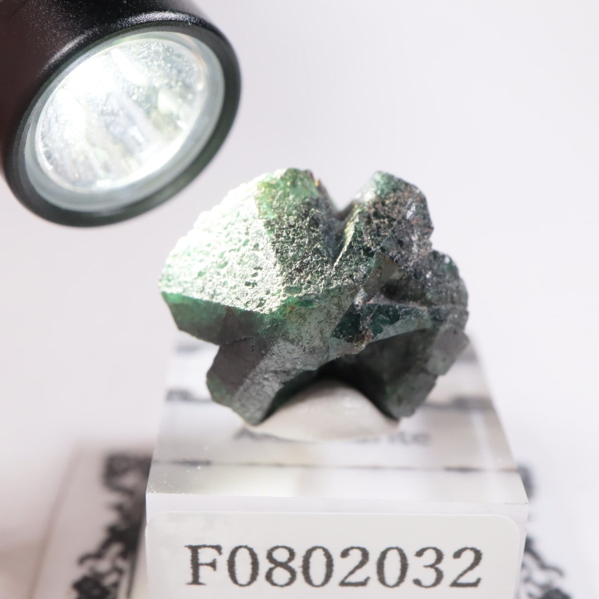 3_000000010413.jpg?1754134168