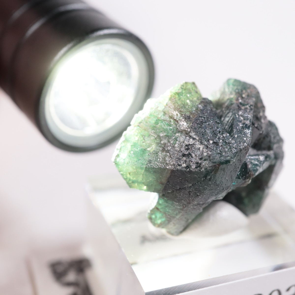 ����Х֥��� ���쥭����ɥ饤��