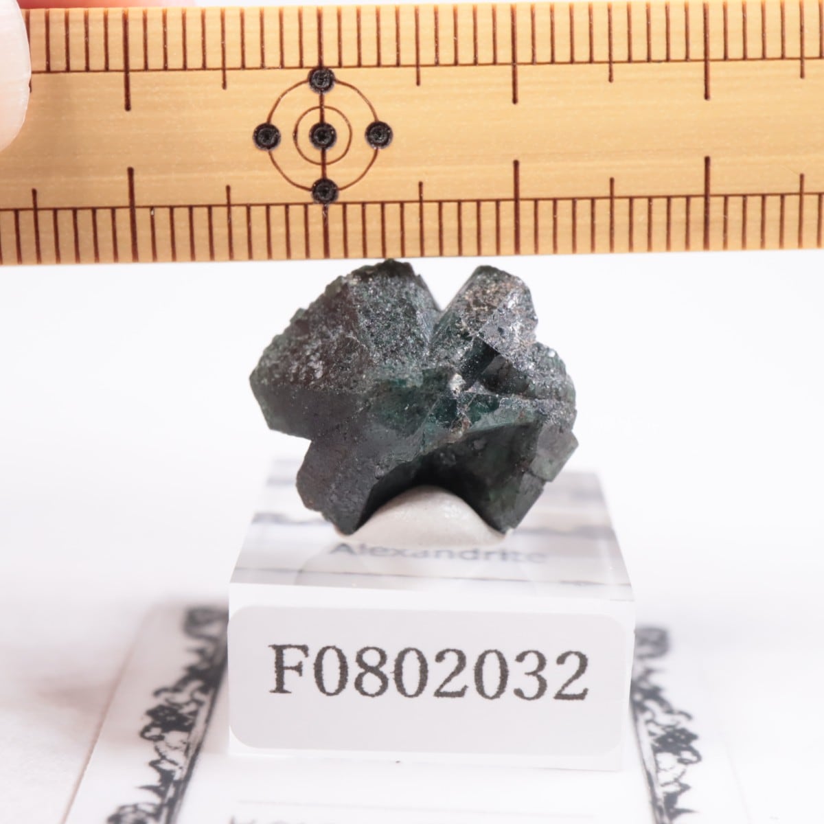 ����Х֥��� ���쥭����ɥ饤��