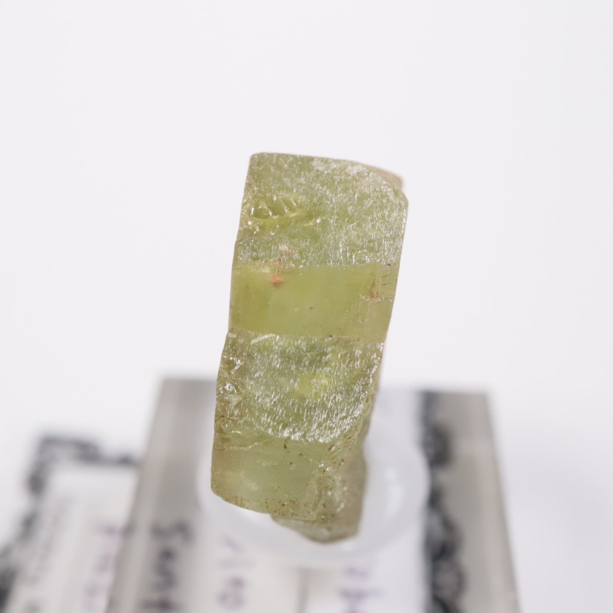 �֥饸�뻺 ���꥽�٥��