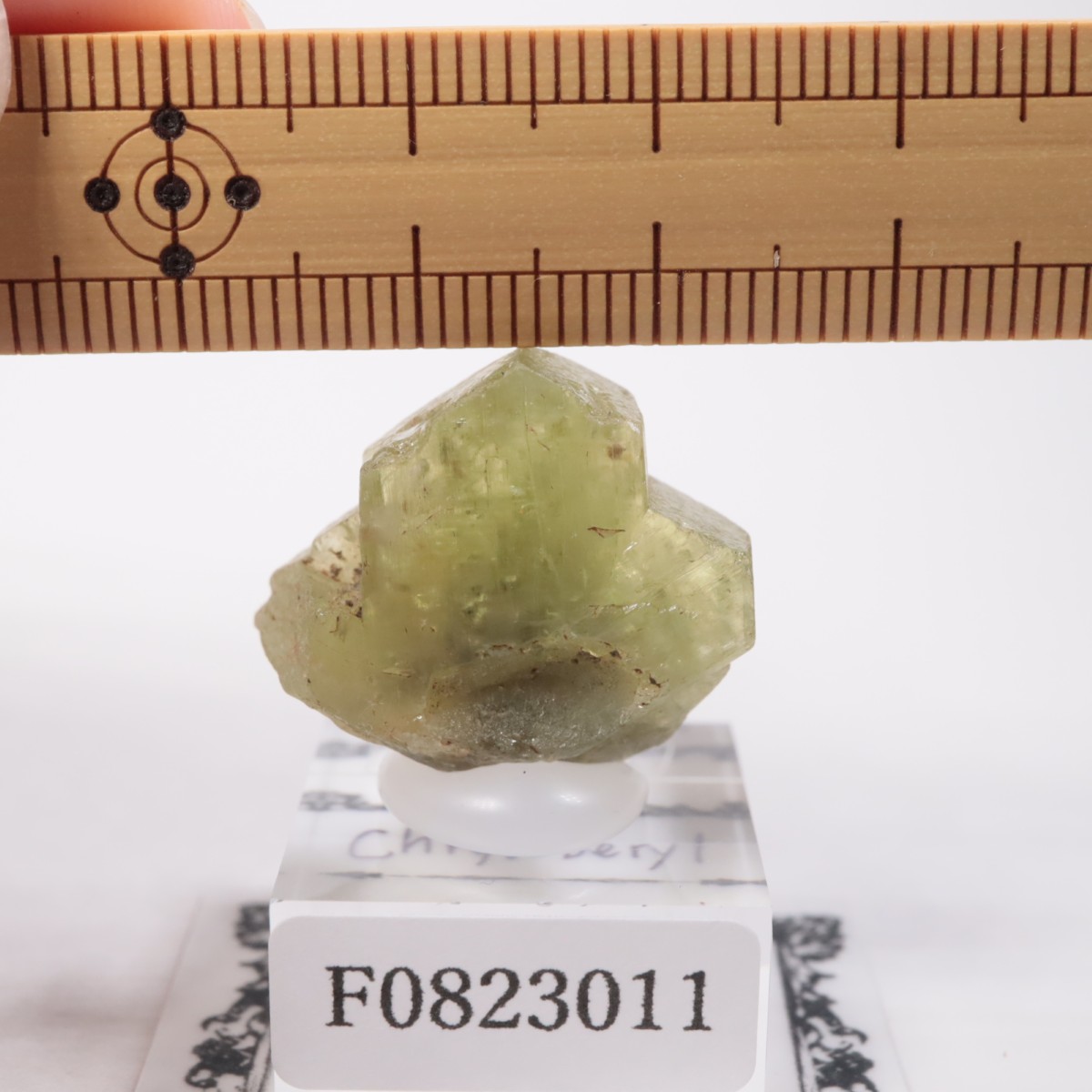 �֥饸�뻺 ���꥽�٥��